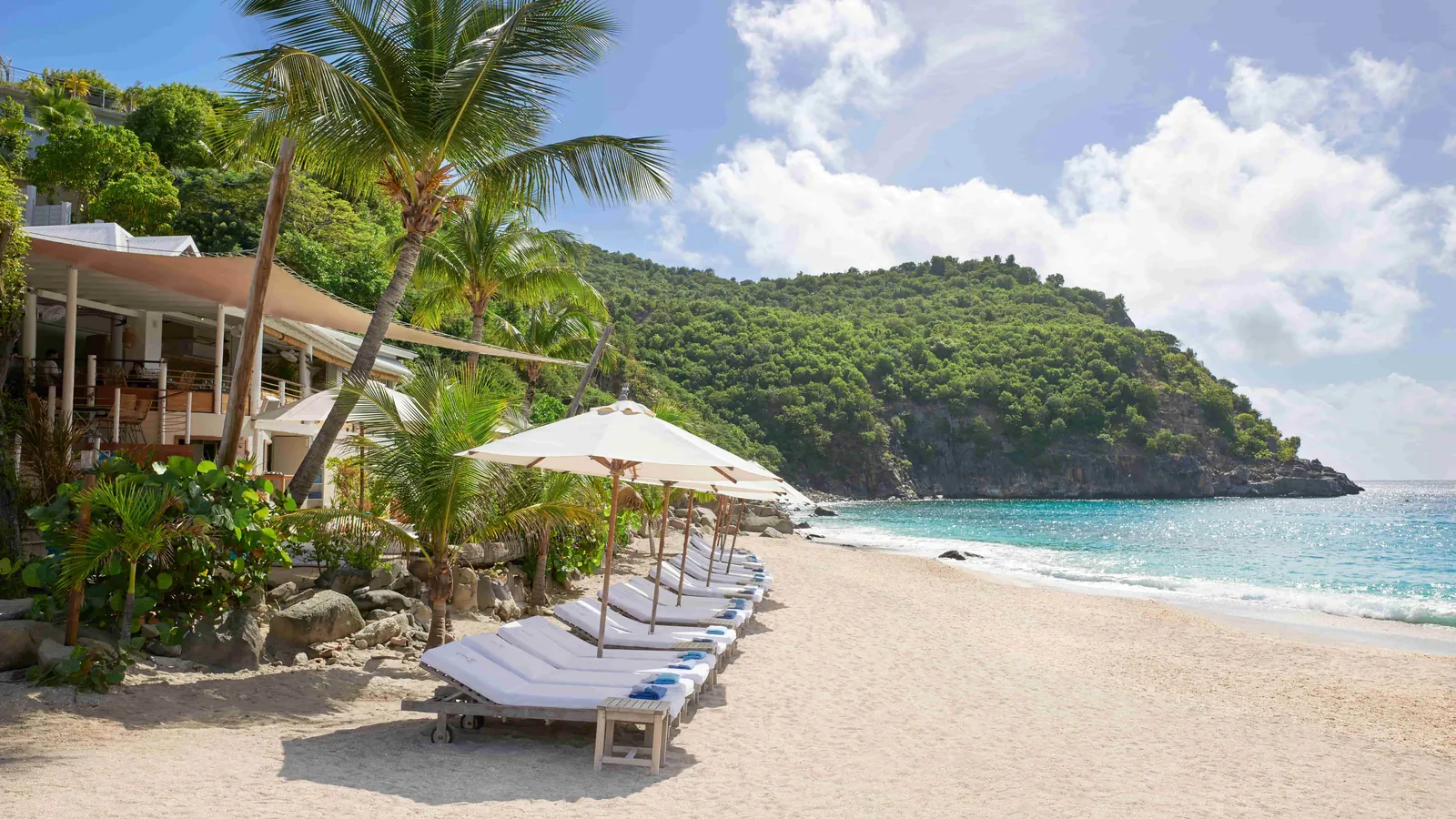 Sun loungers under the palms on a white-sand beach, Saint-Barthélemy