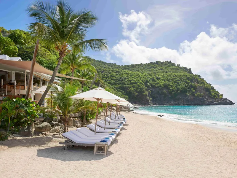 Sun loungers under the palms on a white-sand beach, Saint-Barthélemy